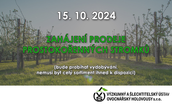 Prodej prostokořenných stromků